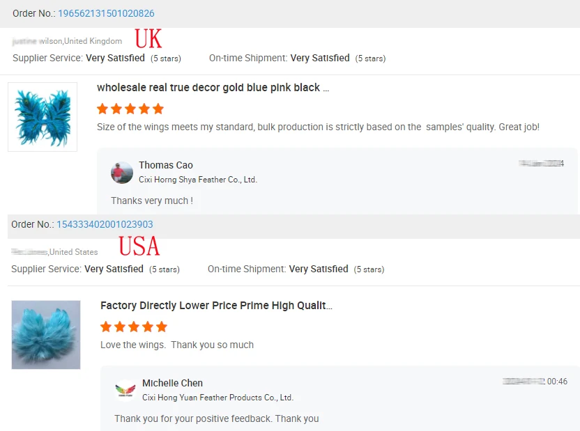 HY Wholesale Real Party Wall Decor White Blue Black Long Large Adult Goose Feather Angel Wings for  Dance Halloween Cosplay