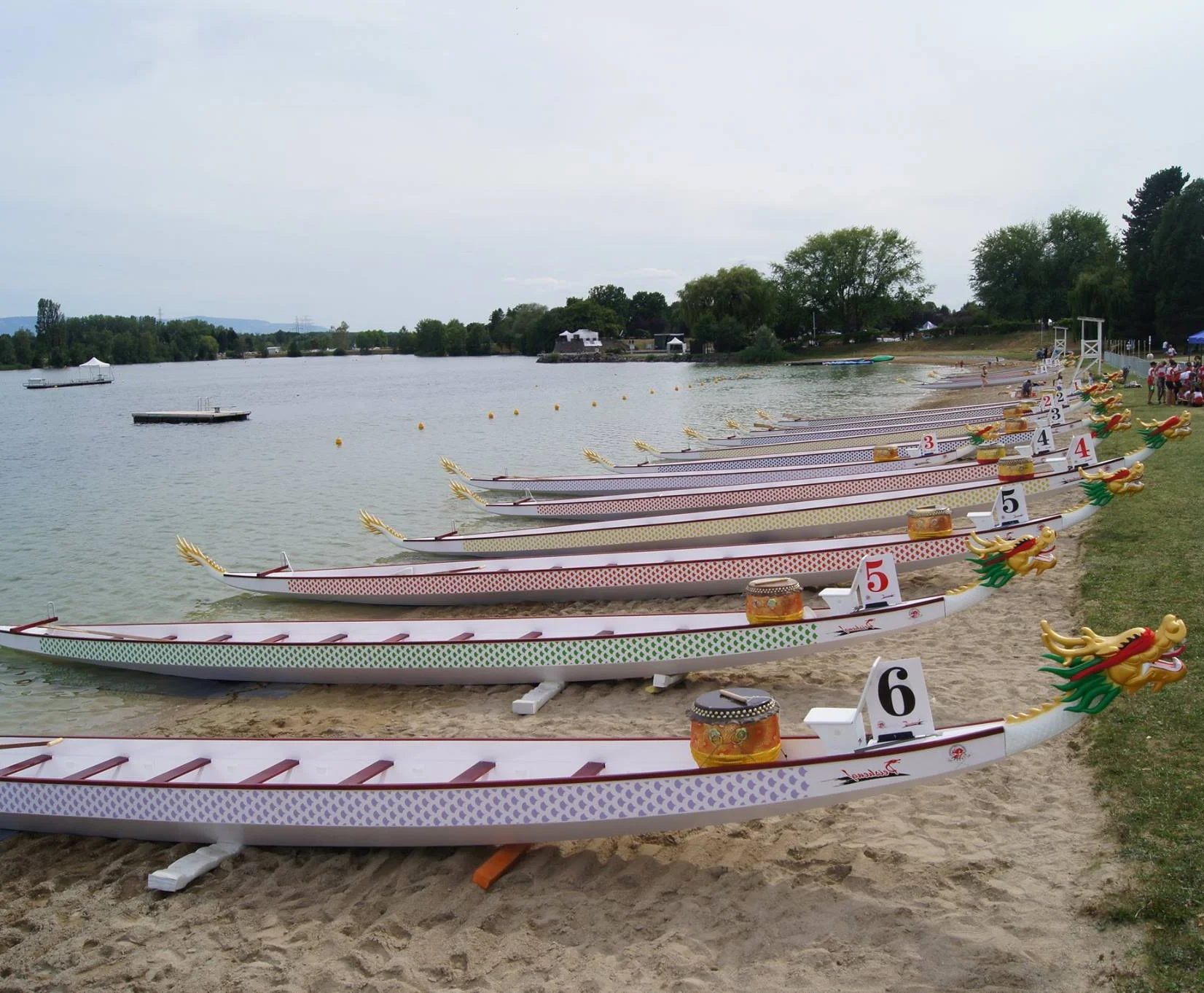 IDBF EDBF 1222 Standard  22 Men Fiberglass Dragon Boat