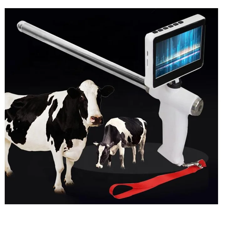 Custom Size Artificial Equipment Pigs Instrumental Queen Bees Insemination Equine With For 100% Safety