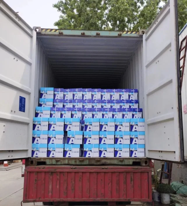 A4 White Paper 100%Pulp 500sheets /Ream 80GSM Office Copy Paper