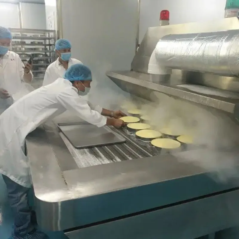 1500kg/h Customized IQF Tunnel Freezer/Industrial IQF Blast Freezer for Fish/Shrimp/Seafood with CE/BV