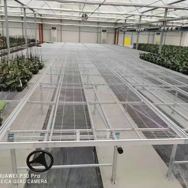 2024  high quality greenhouse steel mesh rolling benches seedling bed  growing orchid for sale