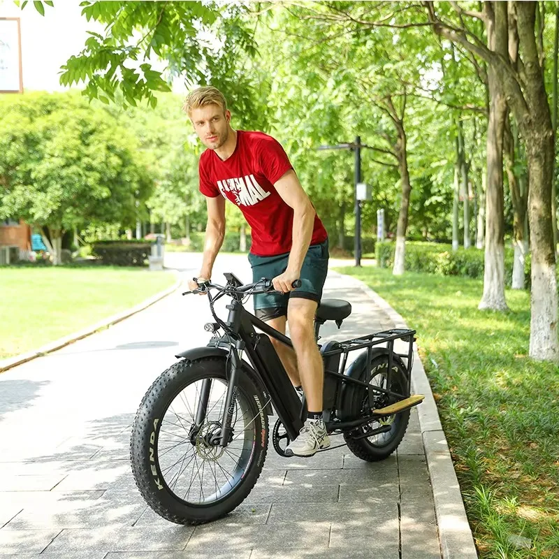 Cheap Electric Bicycle 45Km/H Electric City Bike High Quality 7 Speed Electric Fat Tire Bike Dual Motor Cargo Bike