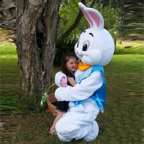 Hot Sale Soft Plush Rabbit Costume Adult Wear Walking Mascot Costume Easter Bunny Costume