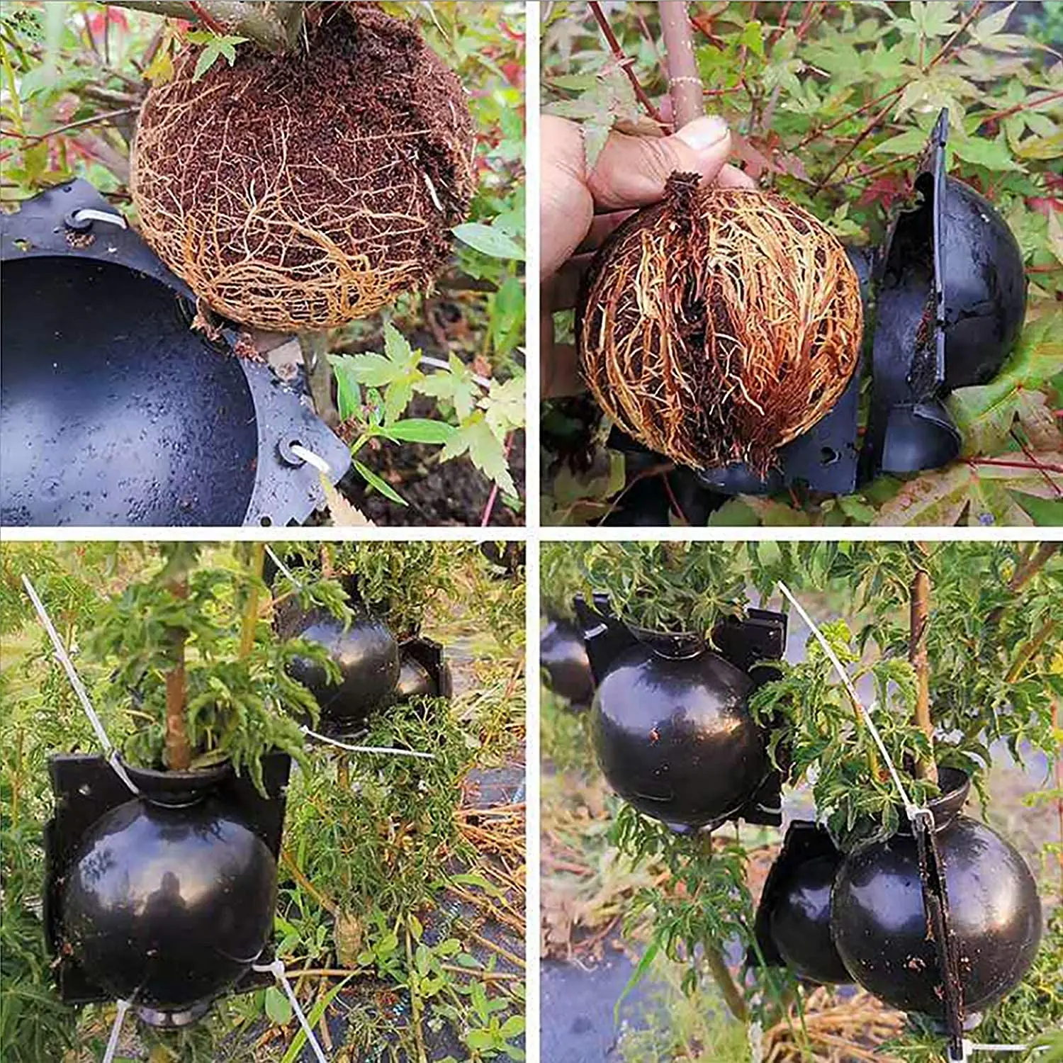 Reusable Plant Root Growing Box Air Layering Pods Plant Rooting Device Assisted Cutting Rooting