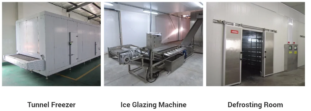 Fish fast freezing machine/iqf quick blast freezer/tunnel freezer