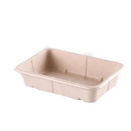 eco friendly food packaging container from bagasse containers manufacturer