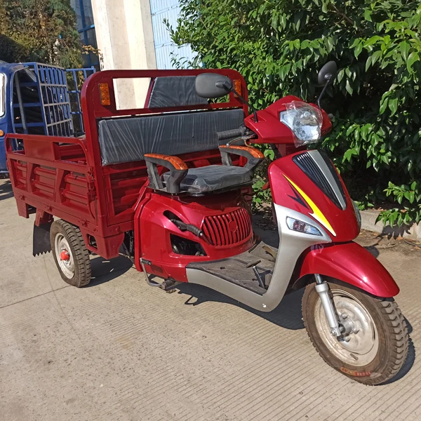 Hot sale Cheap prices Air cooled tricycle 3 wheel cargo tricycle motorized tricycles
