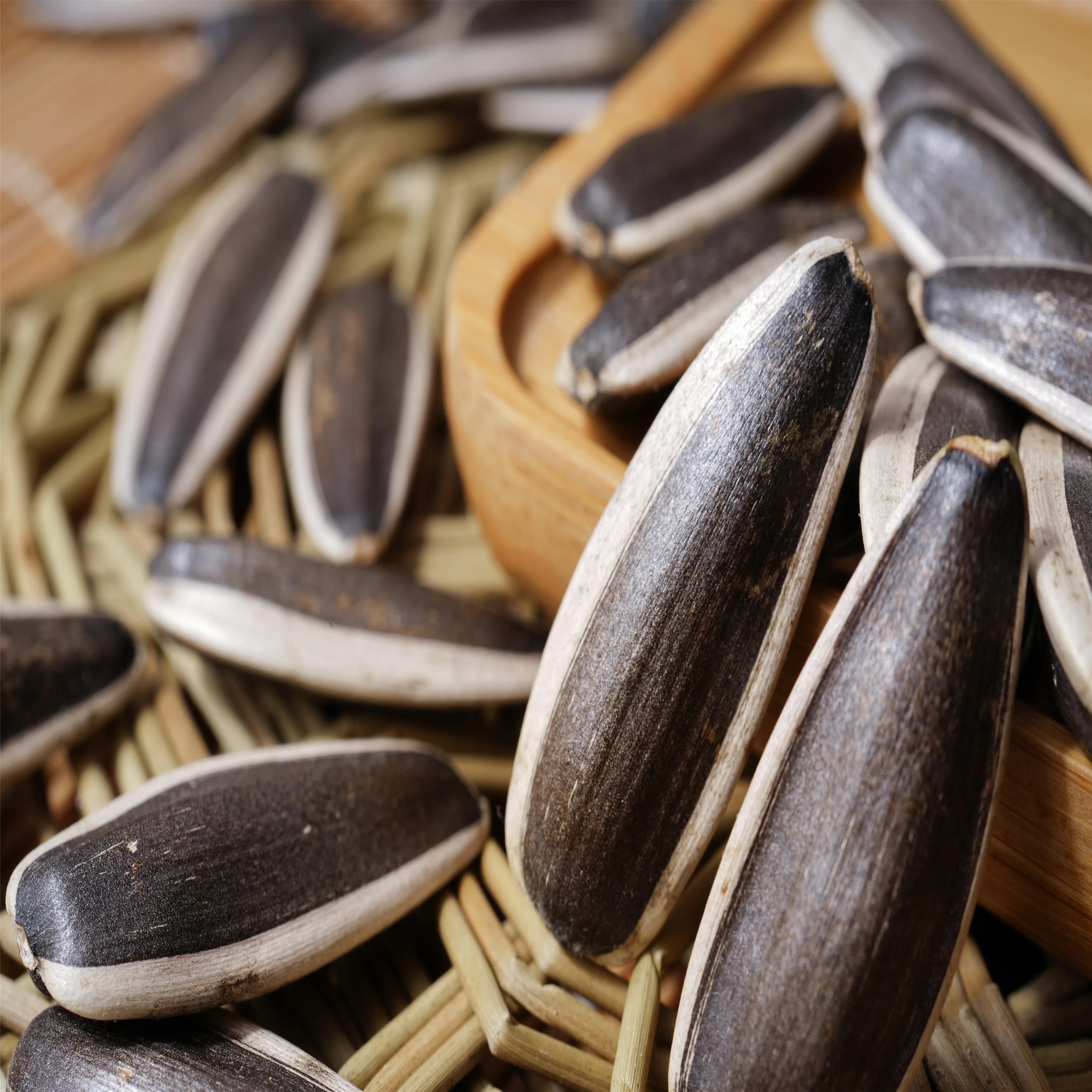 Chinese flavor 99% high accuracy bigs sunflower seeds bulk