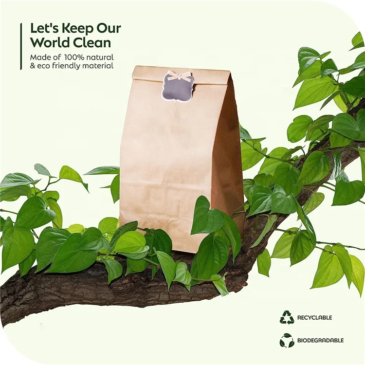 Brown Paper Bags Wax Lined 5 Lb Grease Resistant Paper Bags for Sandwiches Fries Popcorn Donuts and Creamy