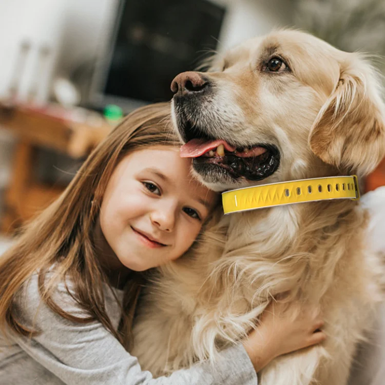 Трассировщик Google Map для домашних животных, GPS, монитор активности, светодиодный фонарик, ошейник для собак с небольшим устройством отслеживания GPS, 2G