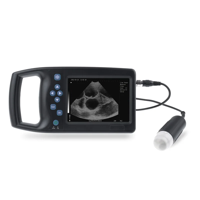 Портативная ультразвуковая система для собак
