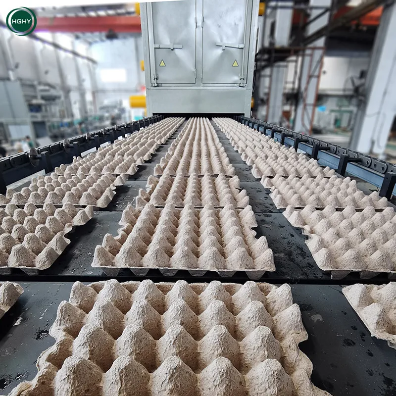 Biodegradable Reusable 12000 Pcs/H 30 Cabinet Capacity Paper Goose Egg Cartons Box Egg Carton Machine Making Canada 50000Set
