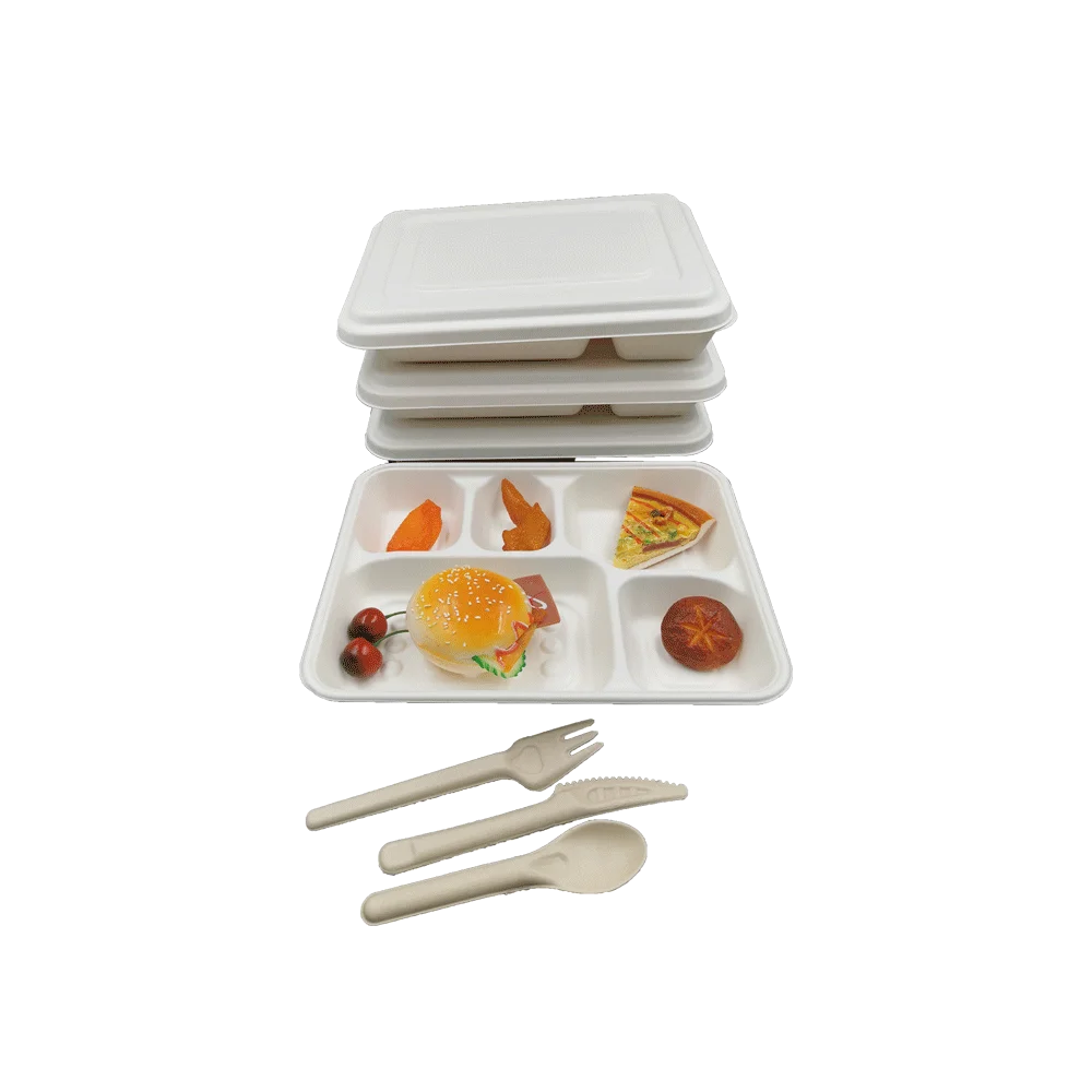 Wholesale 5 compartment disposable bagasse tray for food tableware