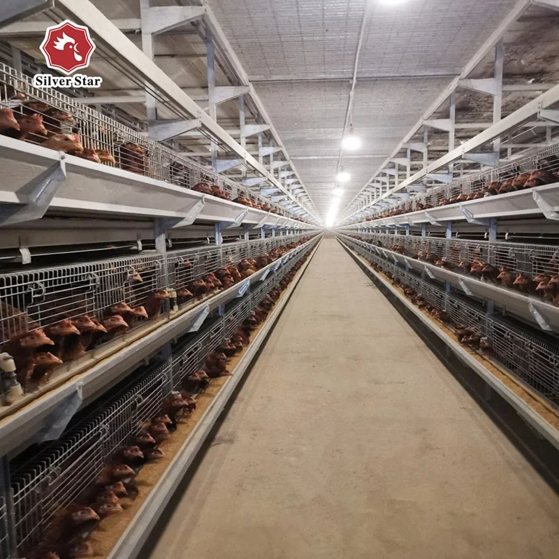 Henan Silver Star poultry farm layer chicken cage manufacturer.jpg