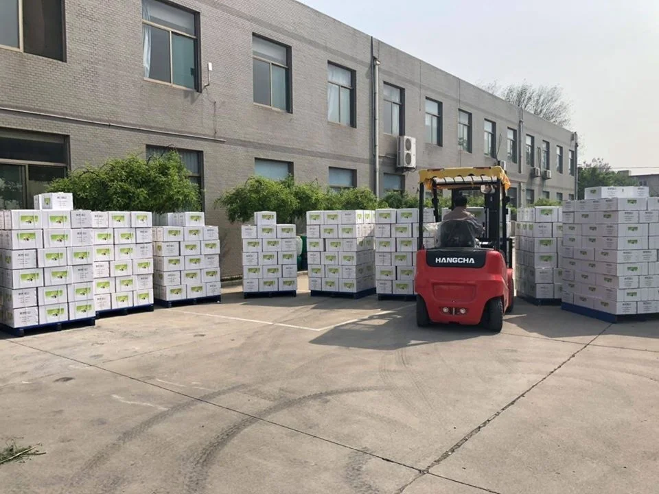 
Soocom Supply Veterinary Medicine tilmicosin veterinary medicine and tilmicosin oral solution 