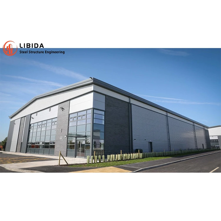 Professional Designed Steel Structure Workshop Prefab Store Steel Structure Building Industrial Warehouse