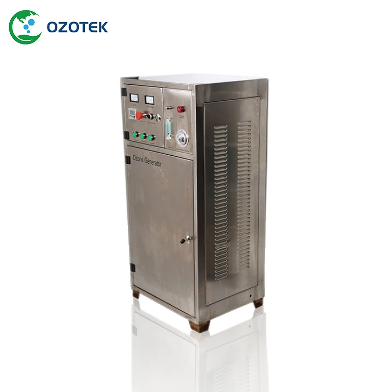 OZOTEK 60g ozone generator 220 v Inbuilt PSA Oxygen concentrator for water purification air purifier