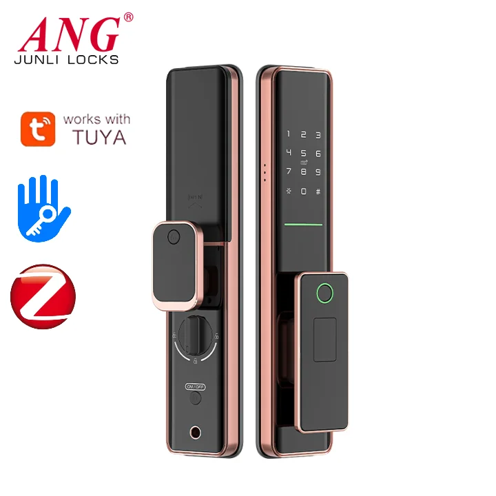 Push Pull Keyless Smart Door Lock With Fingerprint Passcode Automatic Biometric Electronic Lock