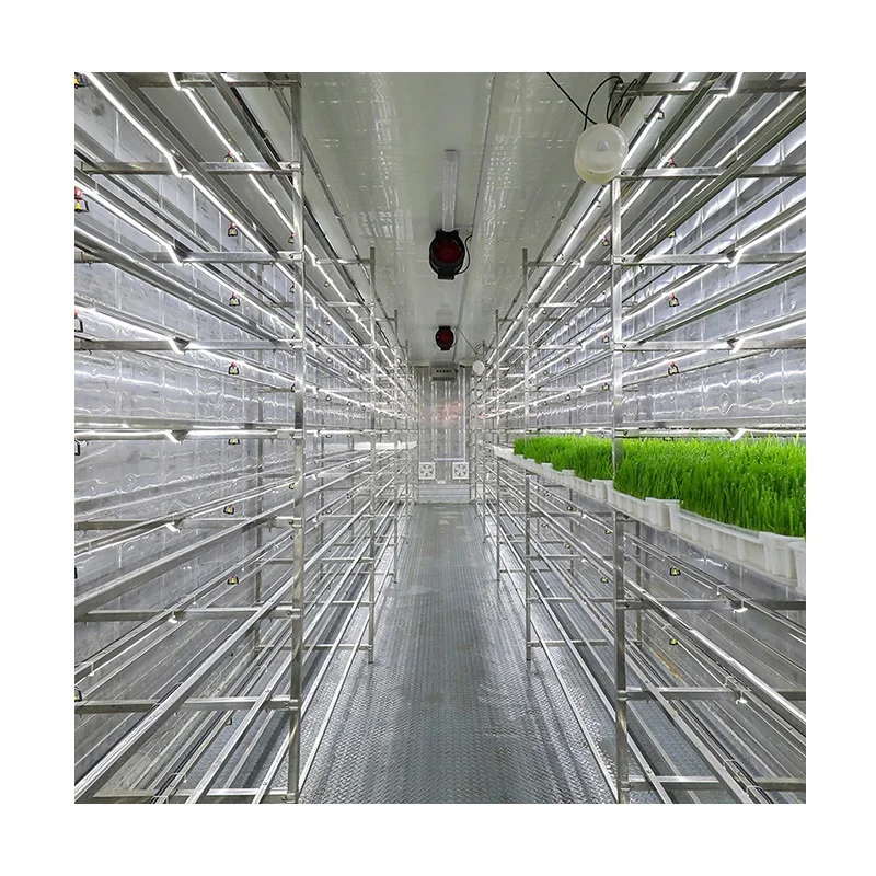 Fodder Container Farm Vertical Farming Container Greenhouse for Agriculture