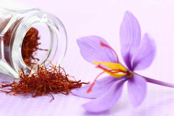 
High Quality Extra Negin Dried Red Saffron For Wholesale From Afghanistan 