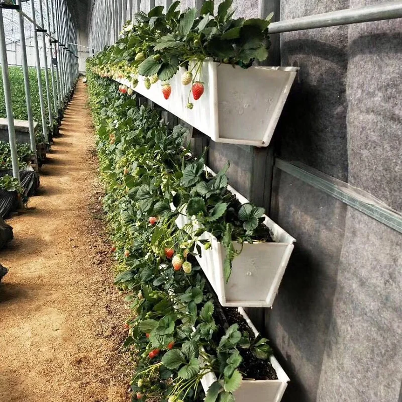 Harvest Vale Vegetable Greenhouse Hydroponic System NFT Hydroponic Container