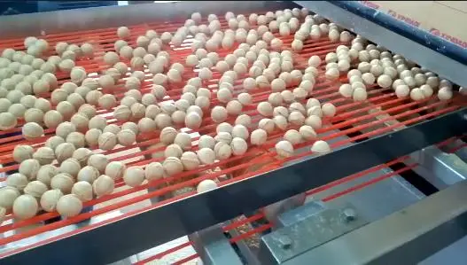 Special shape wafer baking machine