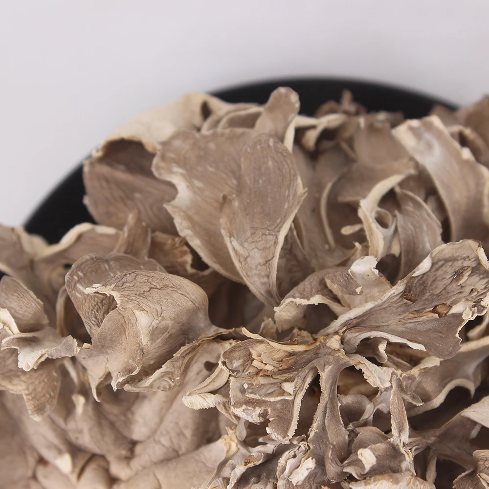 Wholesale Price High Quality Maitake Natural Maitake Hui Shu Hua Dried Maitake Mushroom