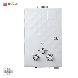2021 new design hot water heater  propane gas instant water heater wall mounted gas geysers  SKD/CKD  gas water heaters