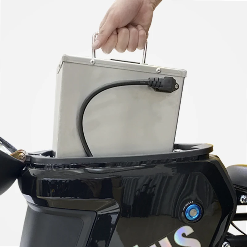 Customized Delivery Food Pizza  Electronic Bicycle with removable battery