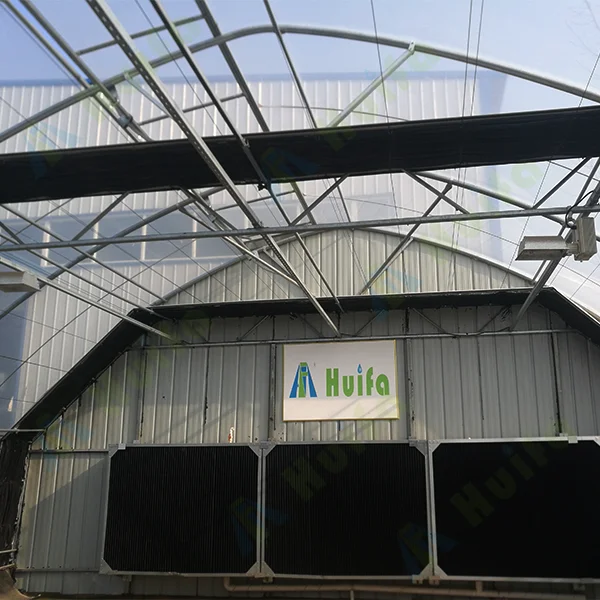Auto Blackout Light Deprivation Greenhouse Manufacturers Tunnel Green Houses For Sale In USA
