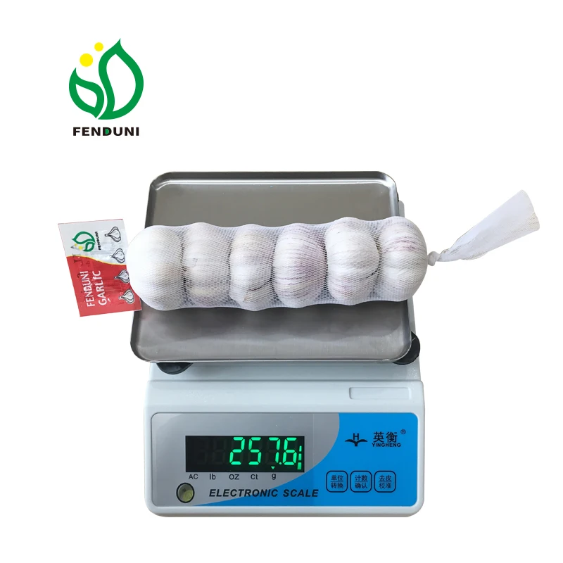 China fresh vegetables fresh garlic pure white garlic solo garlic bawang putih