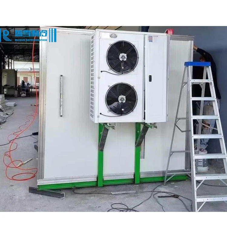 RUIXUE Condensing Unit For Cold Room Mini Air-cooled Refrigeration Condensing Unit RX-FNL-02MH