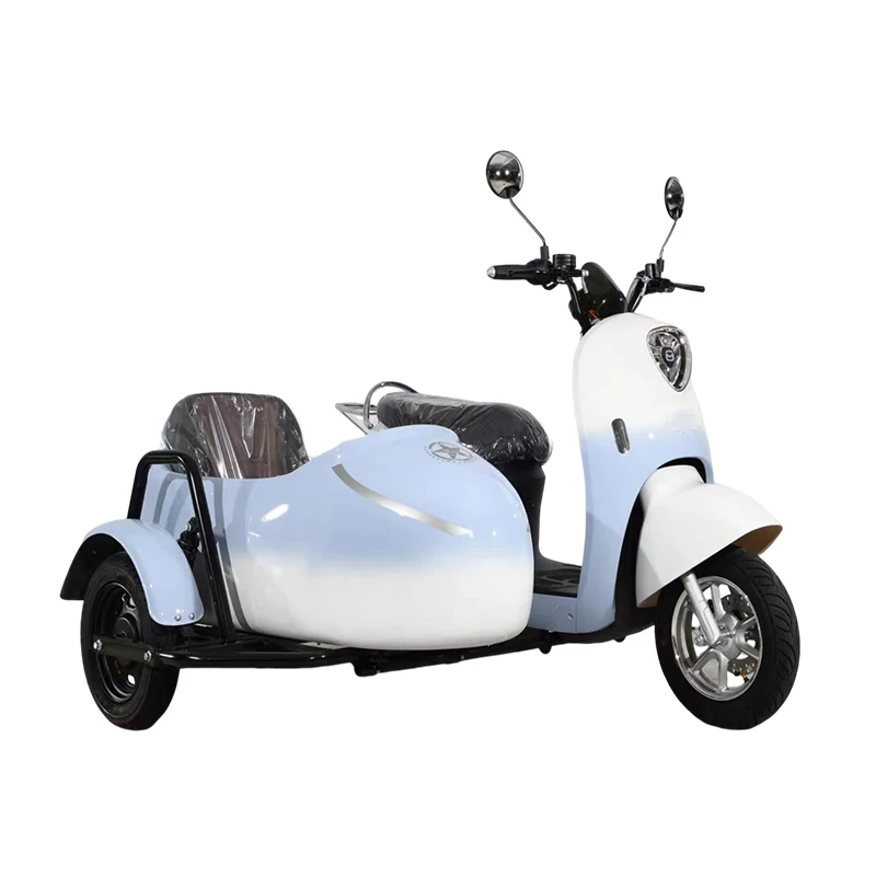 1000W 60V easy operate powerful moped electric tricycle sidecar for picking up kids