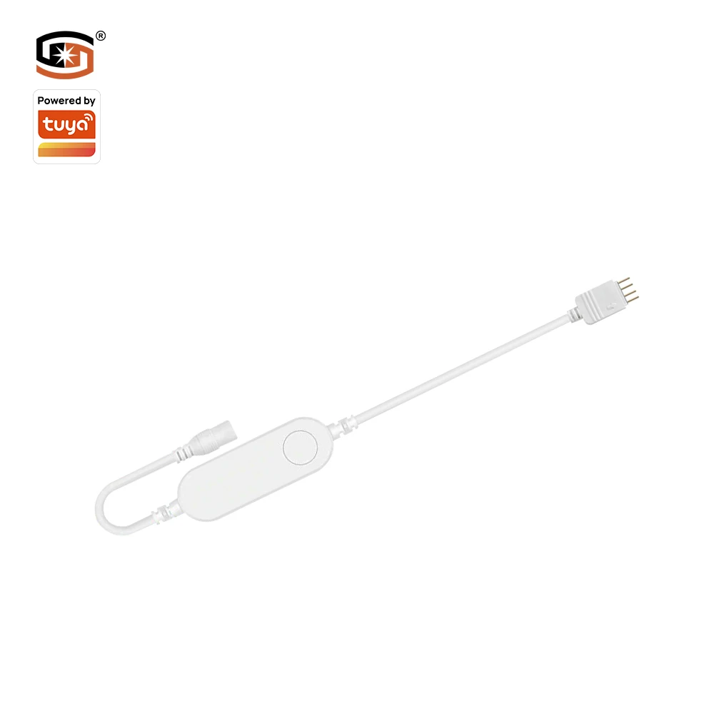 Wi-Fi Smart Controller Connect Magical Rope RGBIC Tape Lights Hotel SaaS SMD DC12V 5M Led Strip Light