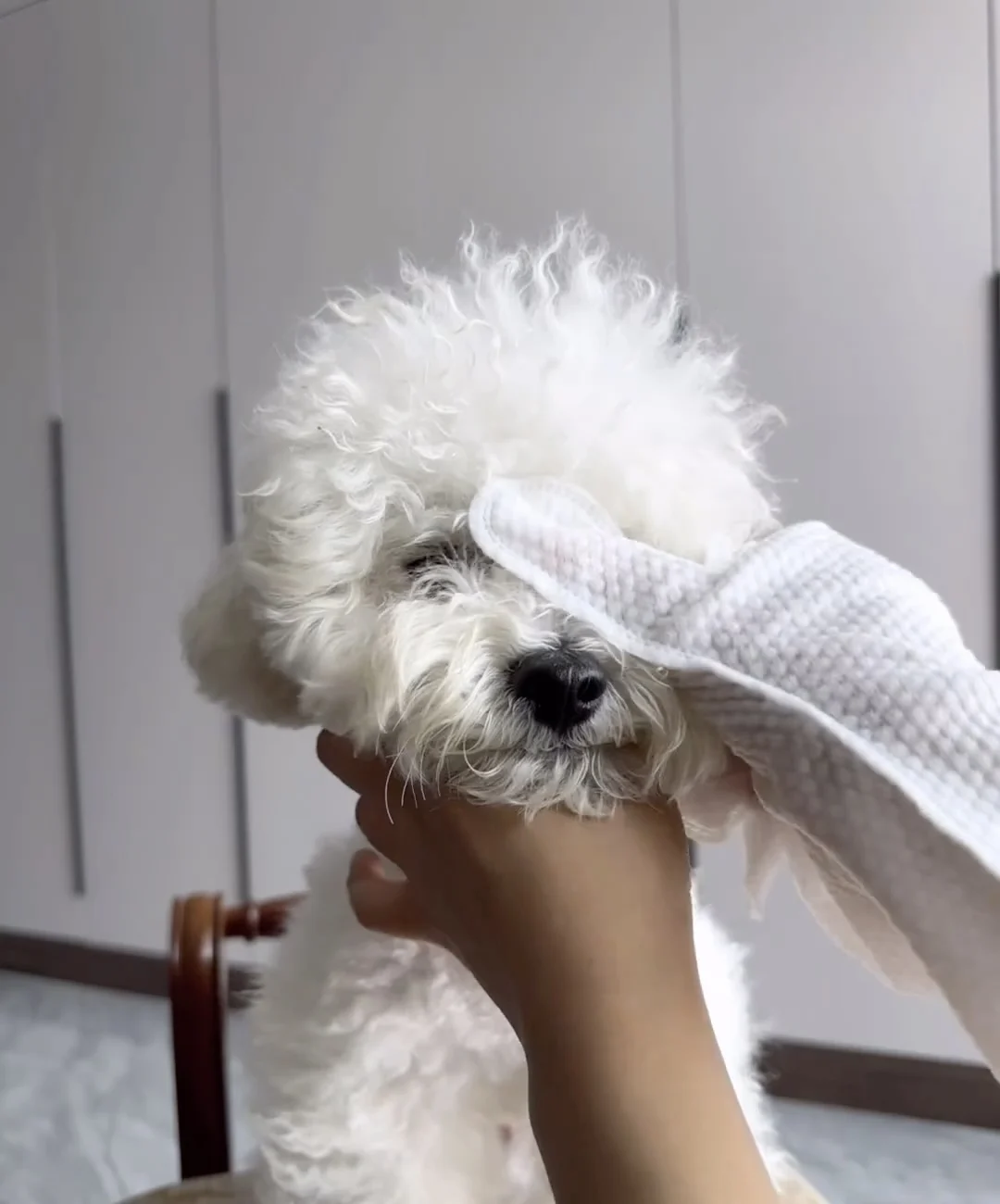 Disposable PET Cleaning Gloves PET SPA Gloves