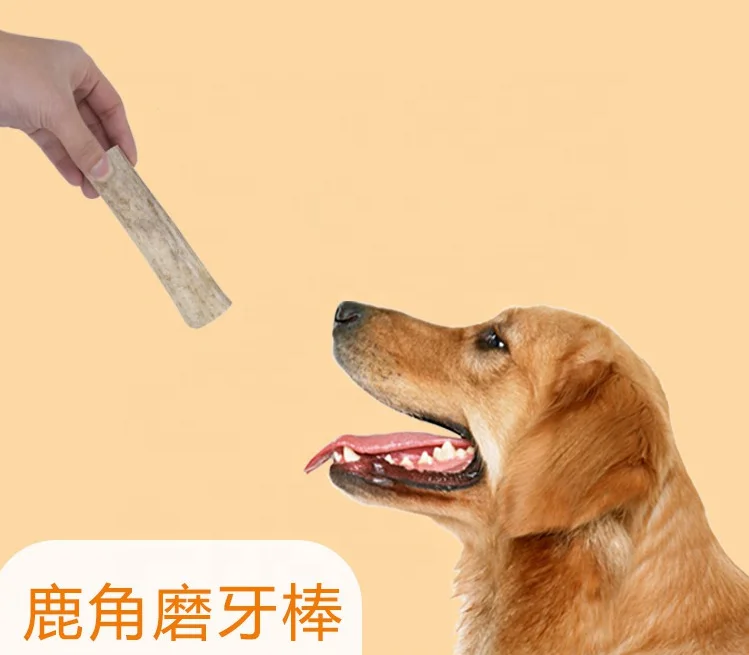 Китайский олень Олень жевать палочки для собак и кошек зубные зубы экологически чистые XL игрушка плюшевый в сумке