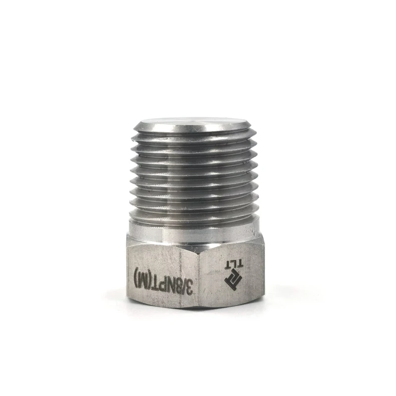 High Quality Stainless Steel 1/2 inch Testing  Pipe Fitting Plug