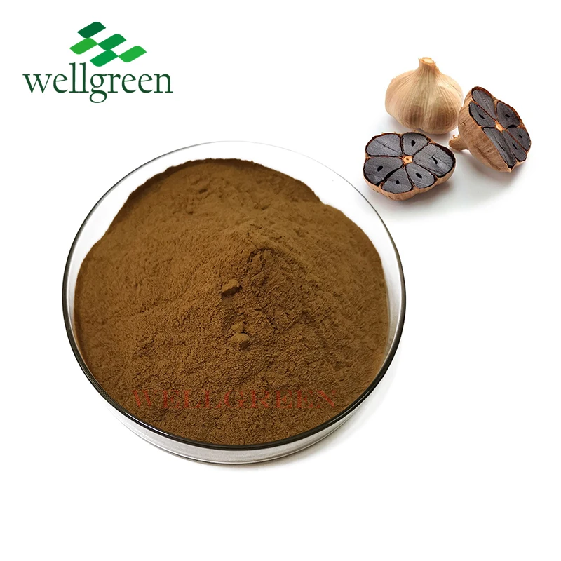 
Wellgreen Best Price Functional Food Additives Dehydrated Black Garlic Powder 