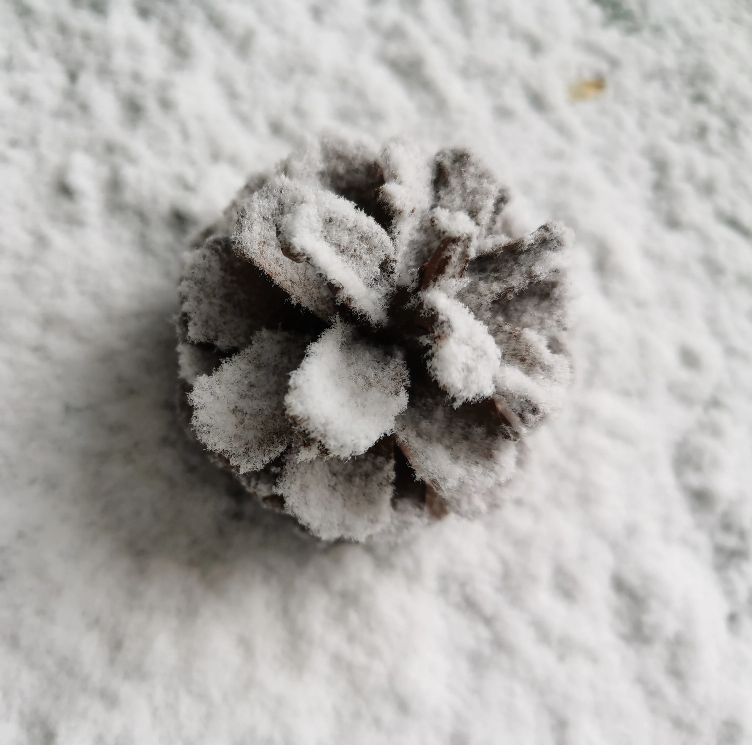 Wholesale Artificial  Paper  Snow