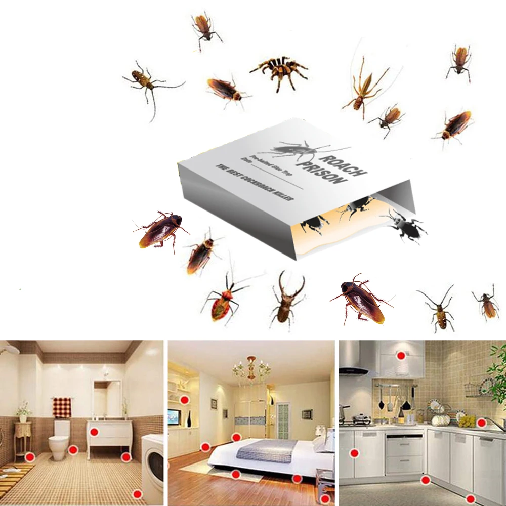 Indoor Home Sticky Roach House Glue Traps Pest Ants Spiders Cockroach Control Killer Cockroach Glue Trap