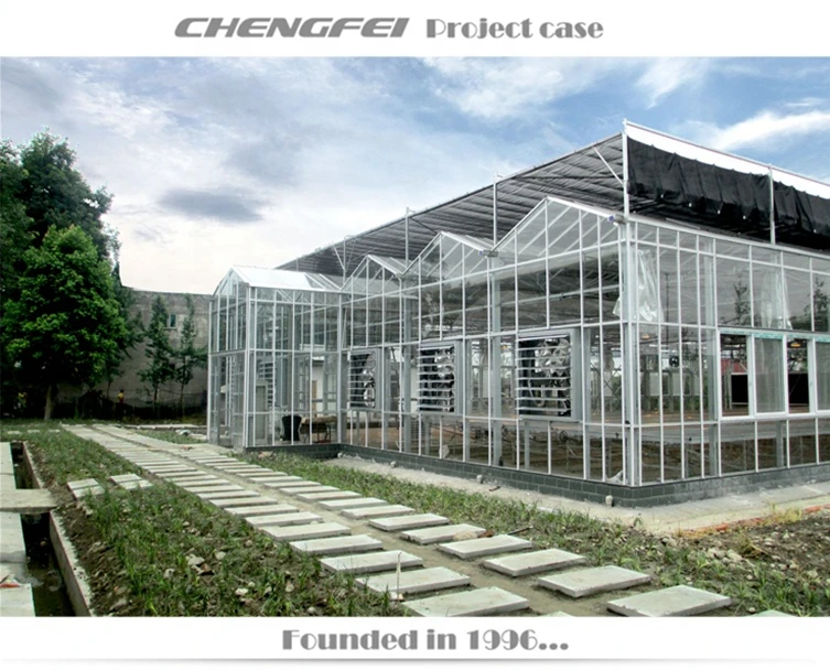 8m/9.6m/10.8m/12m/16m Span Glass Green Houses Agriculture Commercial Spain Large Green House