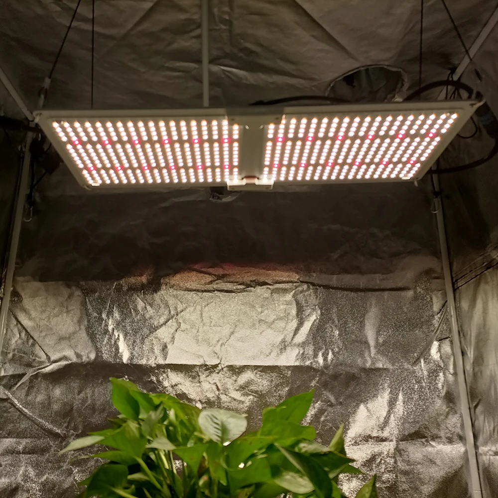 Yastar new Meanwell lm301h Epistar 660nm planting grow full spectrum 240W grow light