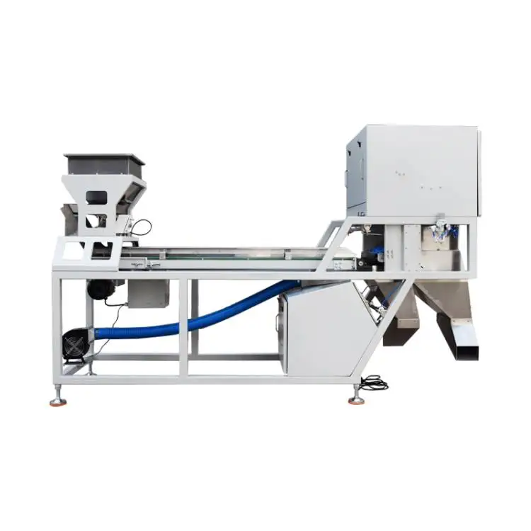 Best Quality Peanut Garlic Color Sorter Machine Manufacturer Reliable Garlic  Color Sorter Machine