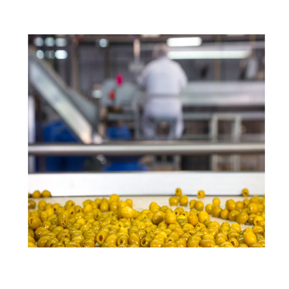 Fresh Olive Pitted Green Olives Style Variety Size Weight Origin Type Common Sliced Green Olives Fruit
