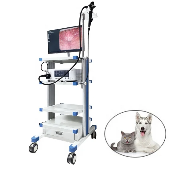 Gastroscope Vet Small Animals Endoscopy Veterinary Electronic Gastroscope Colonoscope Video Endoscope