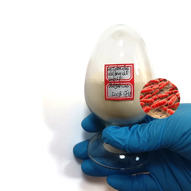 Лактоbacillus delbrueckii subsp. Бугорка 50-500 миллиард порошок