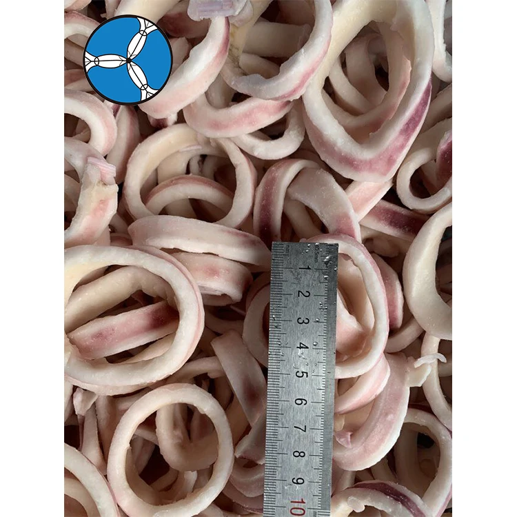 Замороженное кольцо для кальмара Todarodes по хорошей цене