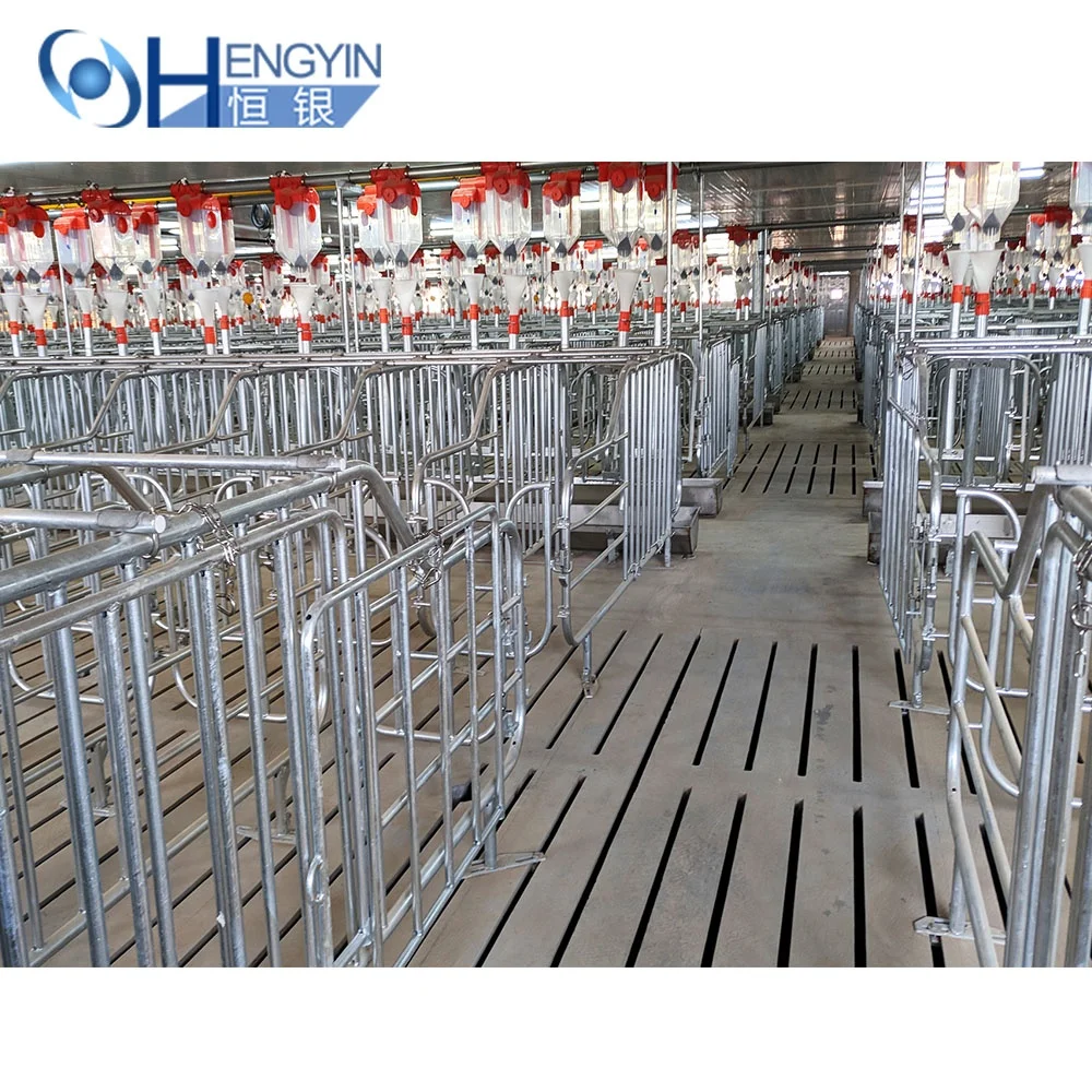 Can be customized high quality Sows pregnancy cage pig gestation crates Pens for pig farm equipment