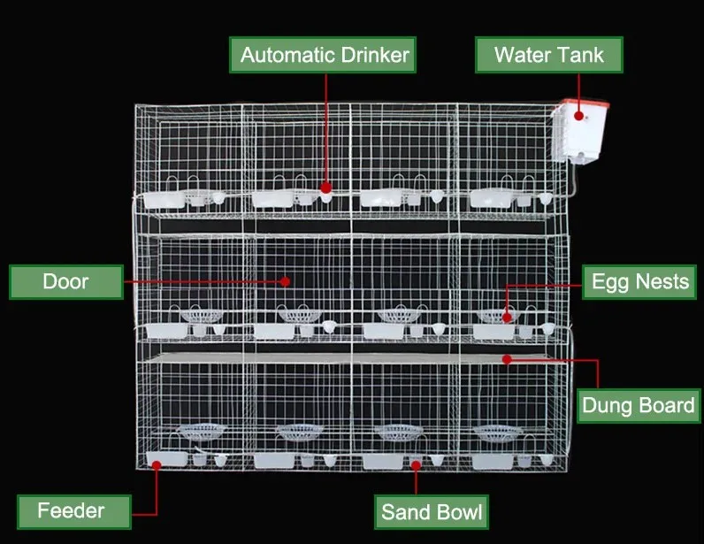 chicken cage design pigeon coops pigeon breeding cage